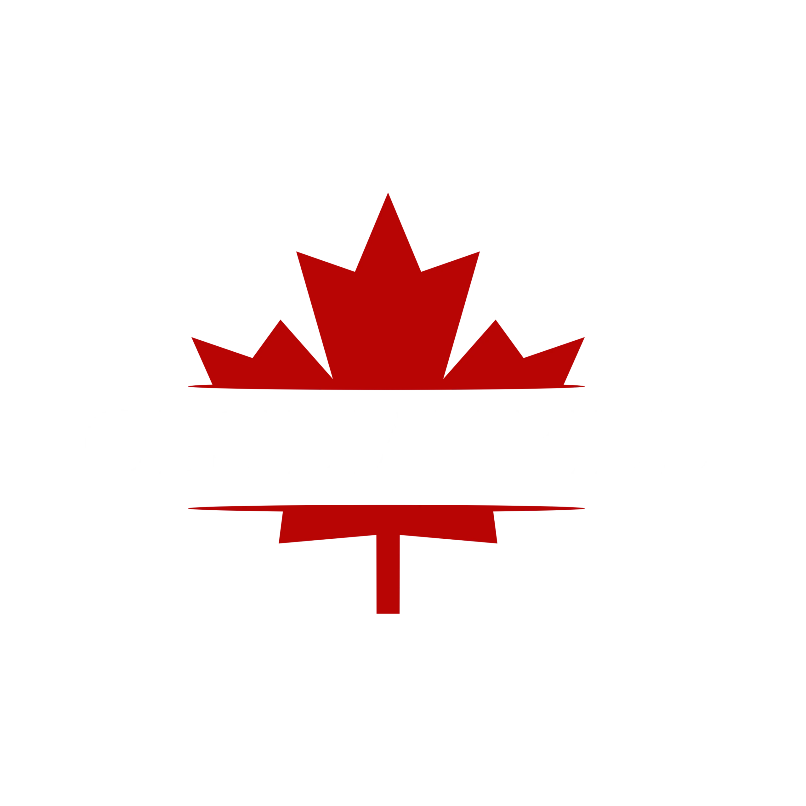 ObsidianRide Luxury Chauffeur Service Toronto